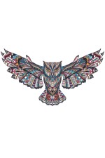  Толстовка, свитшот, футболка Сова с расправленными крыльями