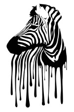  Худи, свитшот, футболка с зеброй