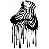  Худи, свитшот, футболка с зеброй