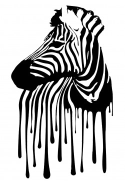  Худи, свитшот, футболка с зеброй