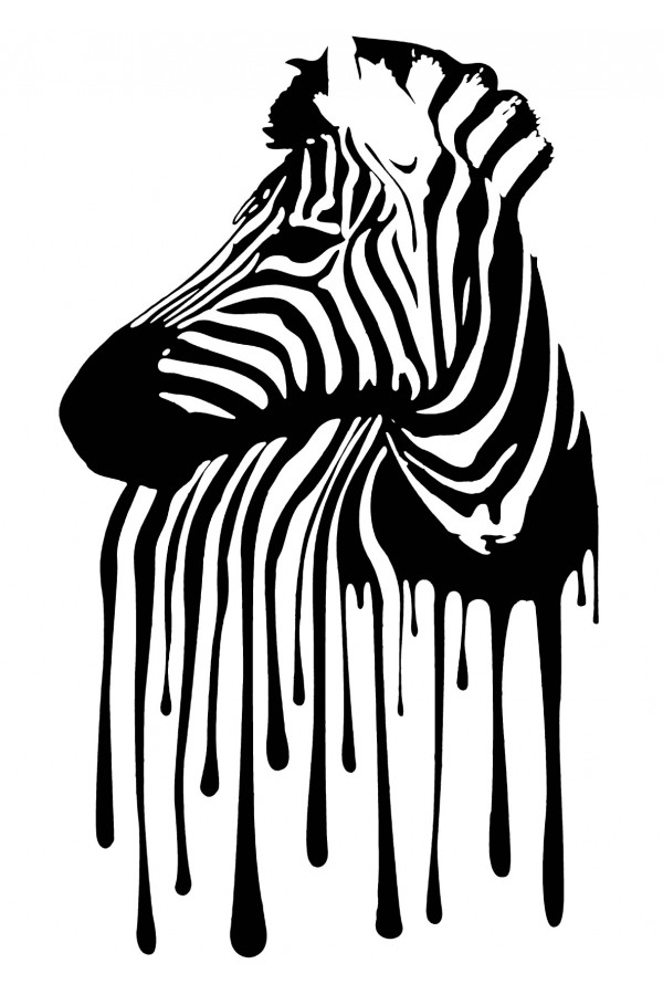  Худи, свитшот, футболка с зеброй