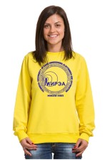 Толстовка с капюшоном МИРЭА Московский государственный технический университет радиотехники, электроники и автоматики (25 цветов на выбор)