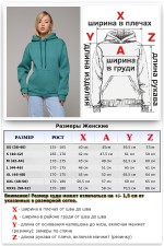 Женская худи с капюшоном премиум оттенок морской бриз 340гр/м.кв   Магазин Толстовок Premium Hoodie Woman