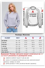 Женский серый меланж свитшот с рукавом реглан петельный (демисезон)   Магазин Толстовок DG Sweatshirt Reglan | Свитшоты Реглан Диагональ Петля