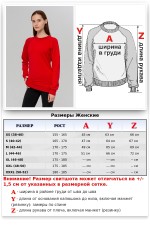 Женский красный свитшот с рукавом реглан петельный (демисезон)   Магазин Толстовок DG Sweatshirt Reglan | Свитшоты Реглан Диагональ Петля