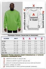 Свитшот оверсайз мужской зеленый васаби   Магазин Толстовок Мужские Оверсайз свитшоты теплые с начесом 