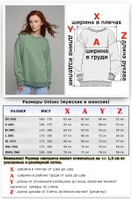 Свитшот оверсайз петельный UNISEX Свитшот оверсайз женский плотный без начеса фисташковый цвет 21 Свитшот оверсайз женский плотный без начеса фисташковый цвет Магазин Толстовок Свитшот оверсайз петельный UNISEX