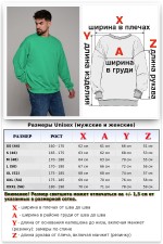 Свитшот оверсайз мужской плотный без начеса цвет аквамарин   Магазин Толстовок Свитшот оверсайз петельный UNISEX