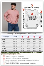 Свитшот оверсайз мужской плотный без начеса пудровый   Магазин Толстовок Свитшот оверсайз петельный UNISEX
