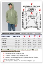 Подростковое худи премиум качества фисташкового цвета (на мальчика)   Магазин Толстовок Подростковые Худи Премиум / Premium Teenage Hoodie