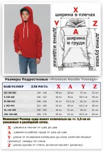 Подростковое худи премиум качества красного цвета (на мальчика)   Магазин Толстовок Подростковые Худи Премиум / Premium Teenage Hoodie