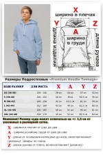 Подростковое худи премиум качества голубого цвета (на мальчика)   Магазин Толстовок Подростковые Худи Премиум / Premium Teenage Hoodie