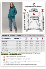 Подростковая худи премиум качества изумрудная (для девочек)   Магазин Толстовок Подростковые Худи Премиум / Premium Teenage Hoodie