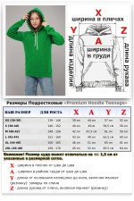 Подростковая худи премиум качества зеленая (для девочек)   Магазин Толстовок Подростковые Худи Премиум / Premium Teenage Hoodie