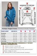 Подростковая худи премиум качества бирюзовая (для девочек)   Магазин Толстовок Подростковые Худи Премиум / Premium Teenage Hoodie