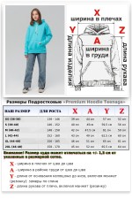 Подростковое худи премиум качества цвет Аква 340гр   Магазин Толстовок Подростковые Худи Премиум / Premium Teenage Hoodie