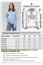 Подростковое худи премиум качества цвет Голубой 340гр   Магазин Толстовок Подростковые Худи Премиум / Premium Teenage Hoodie