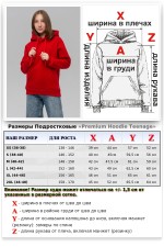 Подростковое худи премиум качества цвет Красный 340гр   Магазин Толстовок Подростковые Худи Премиум / Premium Teenage Hoodie