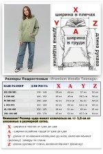 Подростковое худи премиум качества Фисташковое 340гр   Магазин Толстовок Подростковые Худи Премиум / Premium Teenage Hoodie