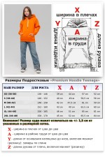 Подростковое худи премиум качества Оранжевая 340гр   Магазин Толстовок Подростковые Худи Премиум / Premium Teenage Hoodie