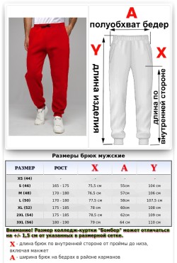 Мужские спортивные брюки красные утепленные зимние 330гр