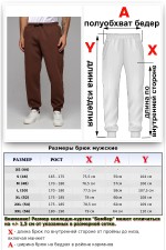 Мужские спортивные брюки коричневые утепленные зимние 320гр   Магазин Толстовок Теплые спортивные брюки с начесом МУЖСКИЕ