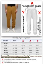 Мужские спортивные брюки цвет кемел утепленные зимние 320гр   Магазин Толстовок Теплые спортивные брюки с начесом МУЖСКИЕ