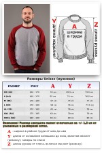 Мужской свитшот реглан серый с бордовым рукавом утепленный   Магазин Толстовок Свитшоты Реглан с начесом Утепленные МУЖСКИЕ