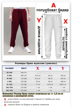 Мужские спортивные брюки бордовые демисезонные 320 гр/м