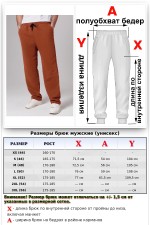 Мужские плотные спортивные брюки демисезонные basic кэмэл (терракотовые)   Магазин Толстовок Спортивные брюки мужские демисезонные с подгибом снизу BASIC