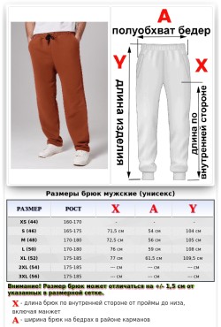 Мужские плотные спортивные брюки демисезонные basic кэмэл (терракотовые)
