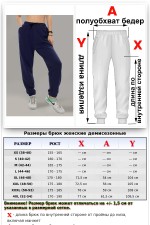 Женские спортивные брюки демисезонные темно-синие без начеса   Магазин Толстовок Женские спортивные брюки демисезонные demi season (весна осень)