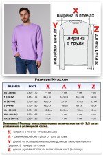 Мужской лонгслив классический трикотажный лавандовый (сиреневый)   Магазин Толстовок Лонгсливы из кулирки базовые мужские