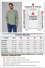 Мужской лонгслив классический трикотажный светло-зеленый (шалфей)   Магазин Толстовок Лонгсливы из кулирки базовые мужские