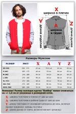 Бомбер красный мужской (унисекс) с серым рукавом   Магазин Толстовок Все худи толстовки свитшоты больших размеров