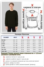 Свитшот черный промо с начесом из футера 2-х нитка 240 гр/м мужской   Магазин Толстовок Свитшоты с начесом из футера 2-х нитка промо