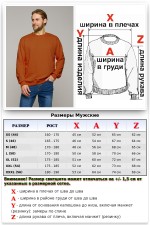 Мужской свитшот терракотовый классический без начеса петельный 320гр/м2   Магазин Толстовок Мужские Свитшоты Классика / Sweatshirts Classic Man