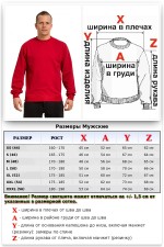 Мужской красный свитшот летний 230гр/м2   Магазин Толстовок Свитшот летний мужской классический (базовый)