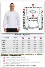 Мужской белый свитшот летний 250гр/м2   Магазин Толстовок Свитшот летний мужской классический (базовый)