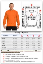 Свитшот летний мужской классический (базовый) Мужской оранжевый свитшот летний 220гр/м2 1 Мужской оранжевый свитшот летний 220гр/м2 Магазин Толстовок Свитшот летний мужской классический (базовый)