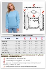 Женский голубой свитшот с начесом утепленный   Магазин Толстовок Зимние свитшоты с начесом 320 гр/м однотонные ЖЕНСКИЕ