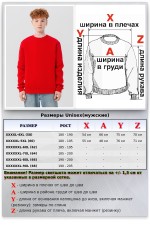 Все худи толстовки свитшоты больших размеров Мужской красный свитшот с начесом утепленный 340гр/м2 ПРЕМИУМ 21 Мужской красный свитшот с начесом утепленный 340гр/м2 ПРЕМИУМ Магазин Толстовок Все худи толстовки свитшоты больших размеров