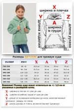 Детское худи - толстовка премиум качества цвет шалфей для ребенка от 3х лет    Магазин Толстовок Детские Толстовки Премиум - Фотографии на Девочках