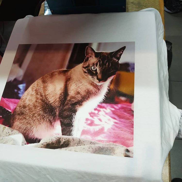 Печать фото на футболках